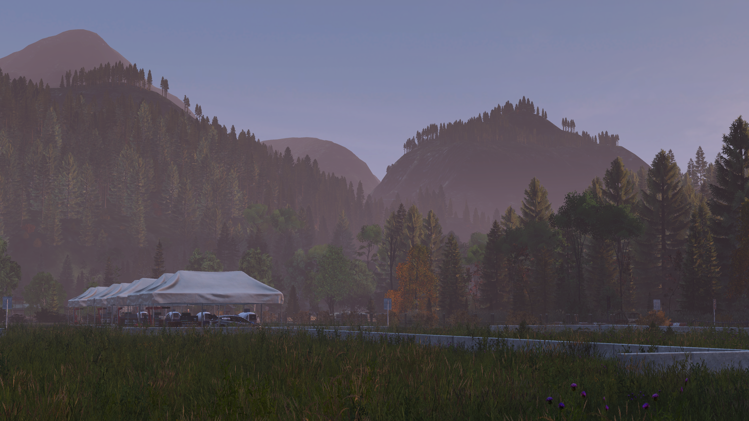 Gebirgspass – Trinity Rallye-Strecke