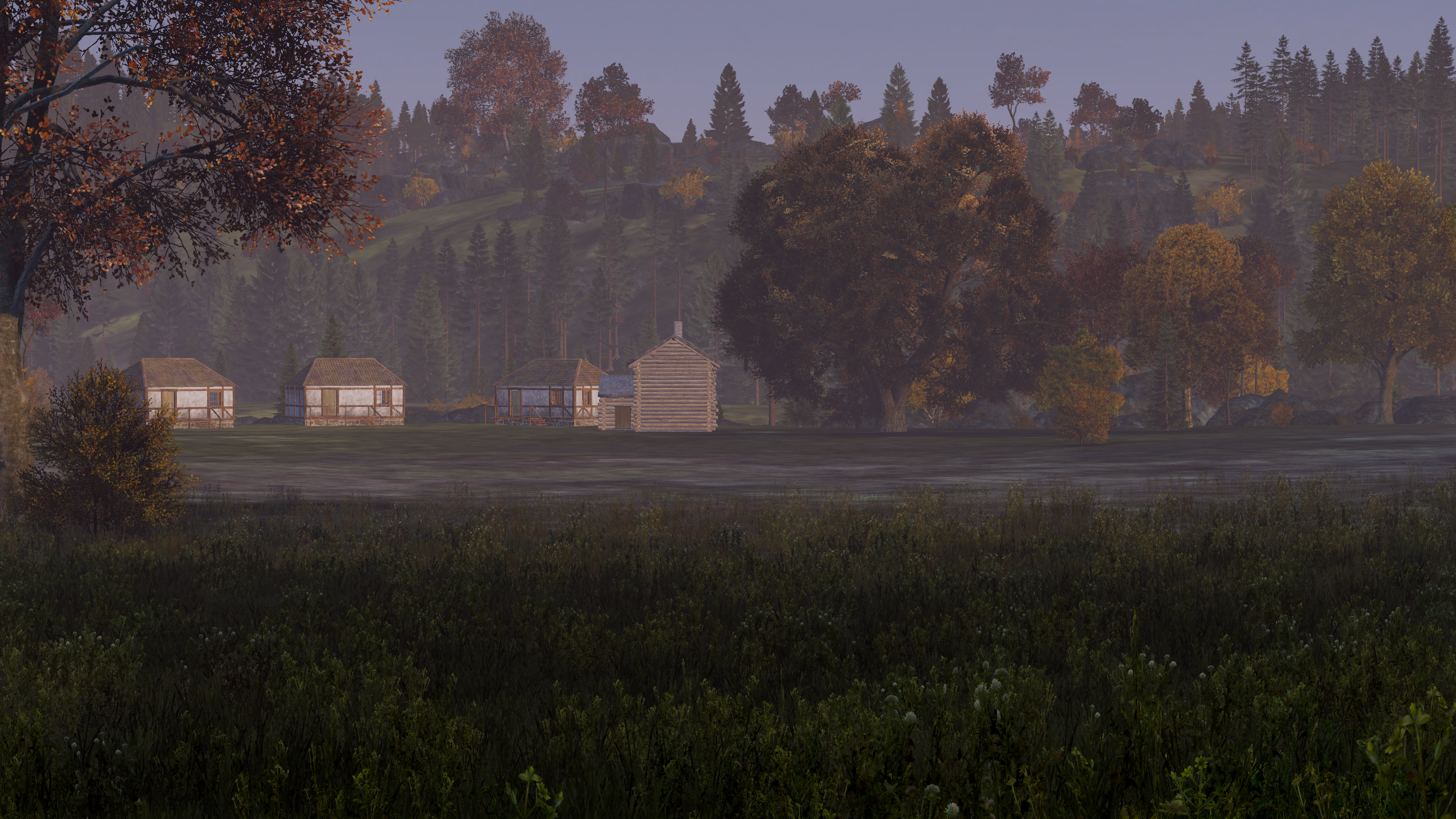 Lichtung – Verlassene Siedlung im Wald